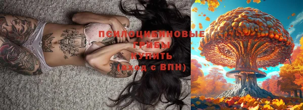 каннабис Арсеньев
