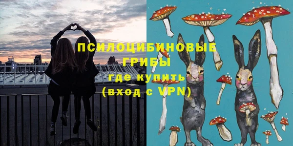 ПСИЛОЦИБИНОВЫЕ ГРИБЫ Аркадак