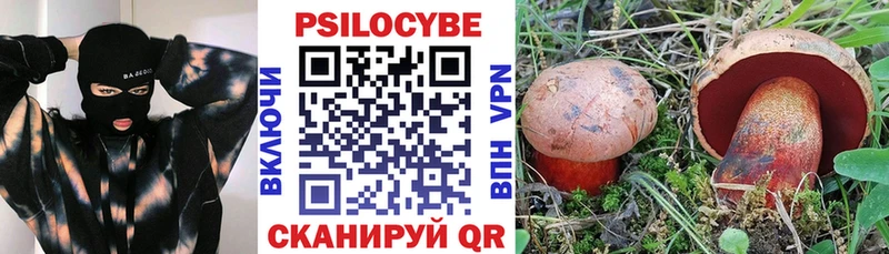 Псилоцибиновые грибы Magic Shrooms  купить   Сухой Лог 
